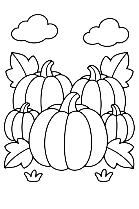 Pumpkin patch coloring page for kids – five round pumpkins of different sizes with leaves and vines, clouds and grass
